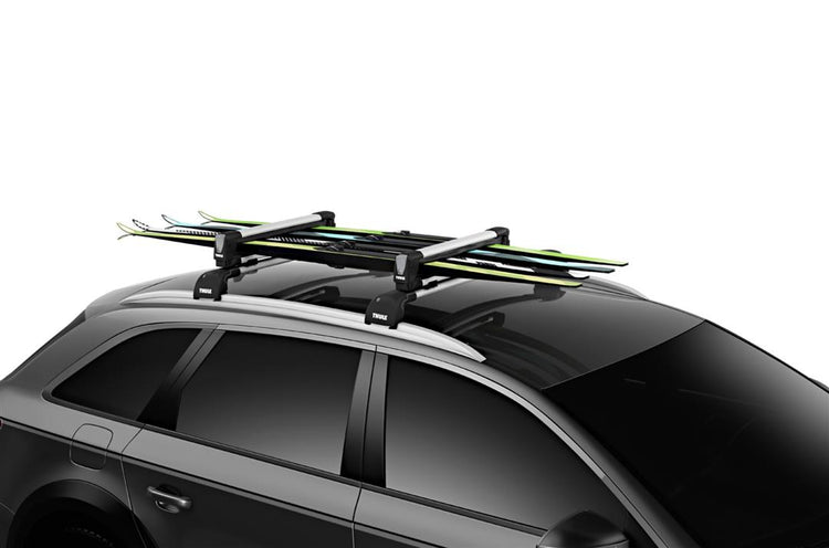 Thule - SnowPack M - Silver
