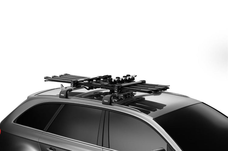 Thule - SnowPack L - Silver