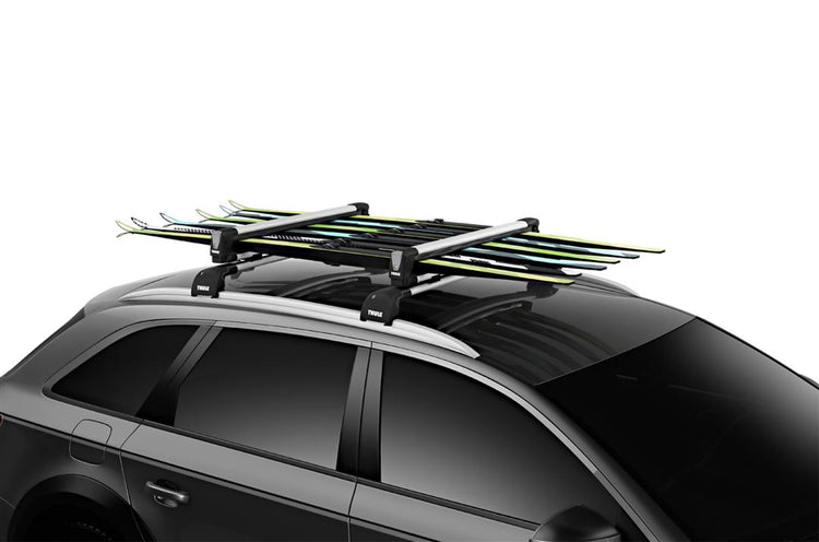 Thule - SnowPack L - Silver