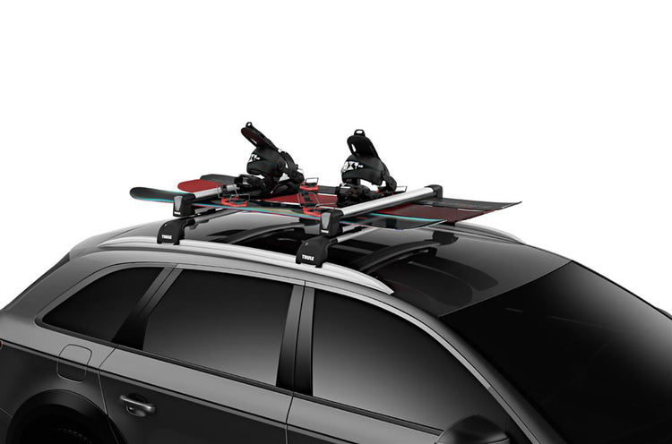 Thule - SnowPack L - Silver