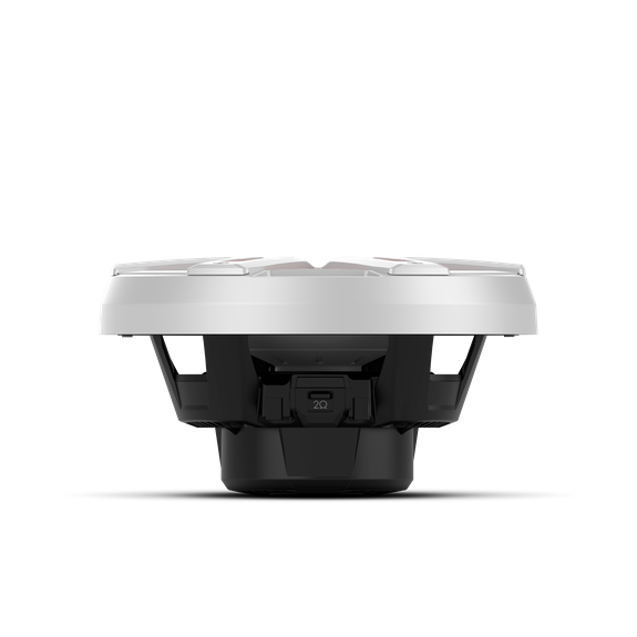 Rockford Fosgate - M2 10" DVC 4Ω Color Optix™ Sealed Enclosure Marine Subwoofer - White or Black