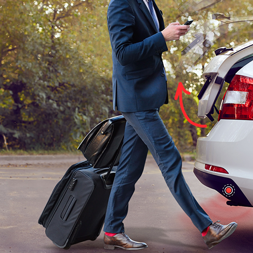 Audiovox Power Liftgate Activation