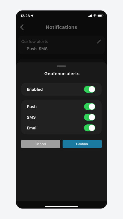 Remote Engine Immobilizer Packages - Proximity & Tracking Package ** COMING SOON